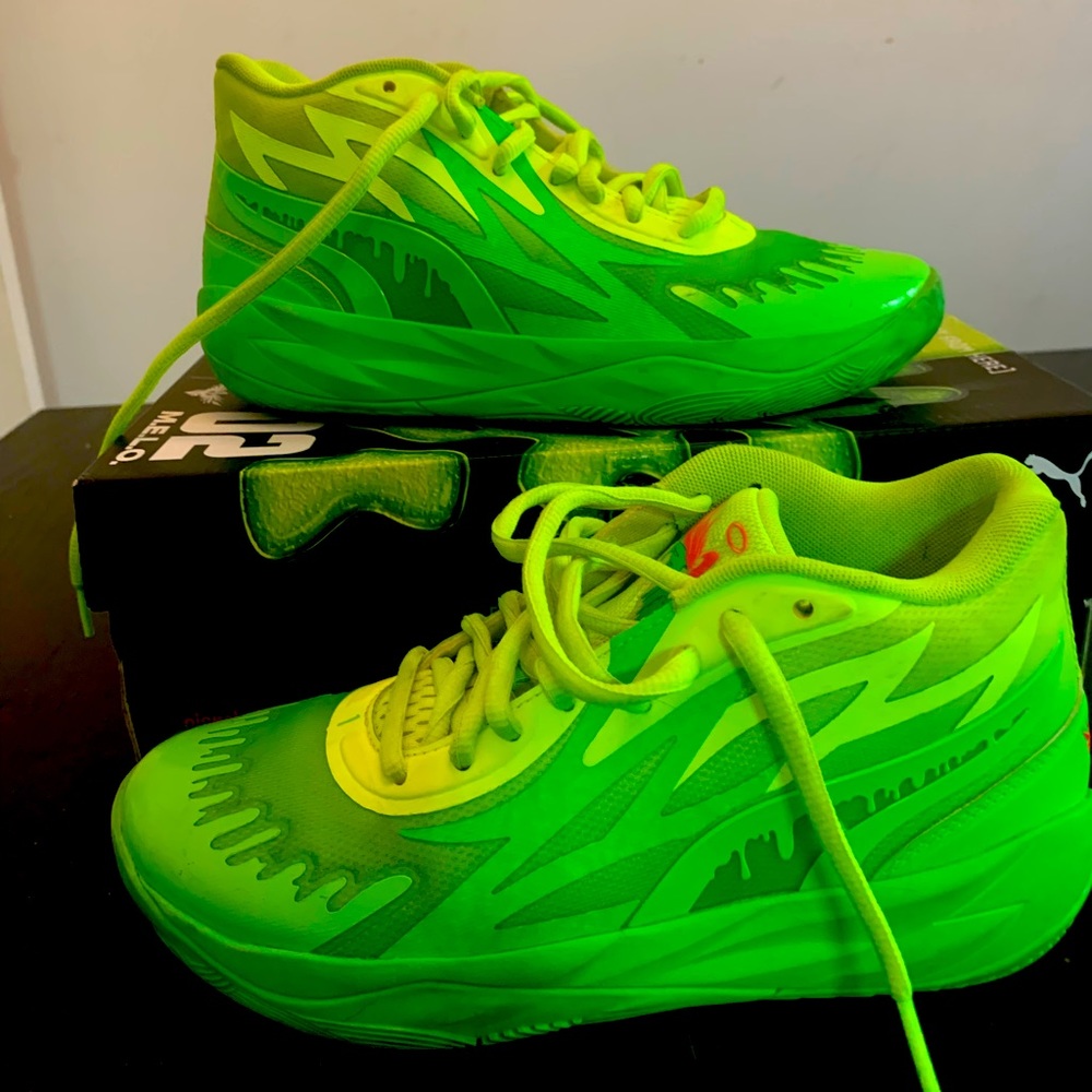 Lightly used puma slimes